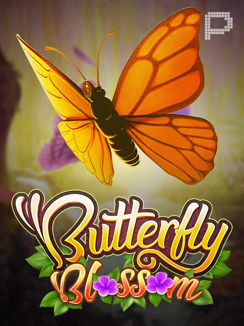 betify